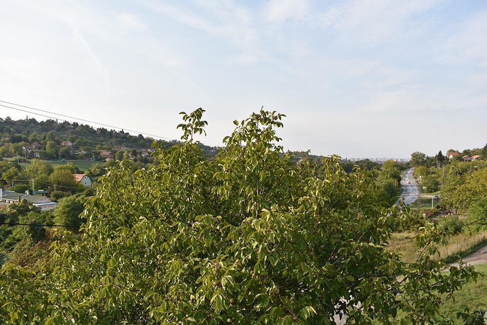Ferienwohnung Fruskogorska Terasa Novi Sad Exterior foto
